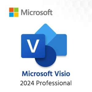 Microsoft Visio Professional 2024
