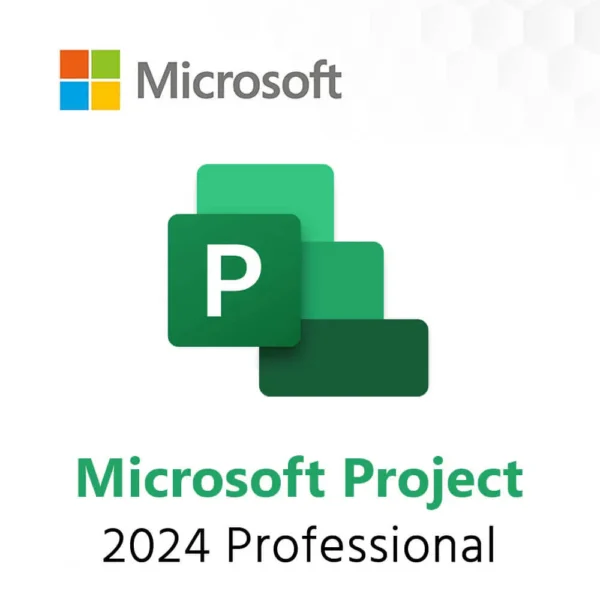 Microsoft Project Professional 2024 - Image 2