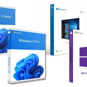 Windows 10/11 ( home - pro )  Lifetime License